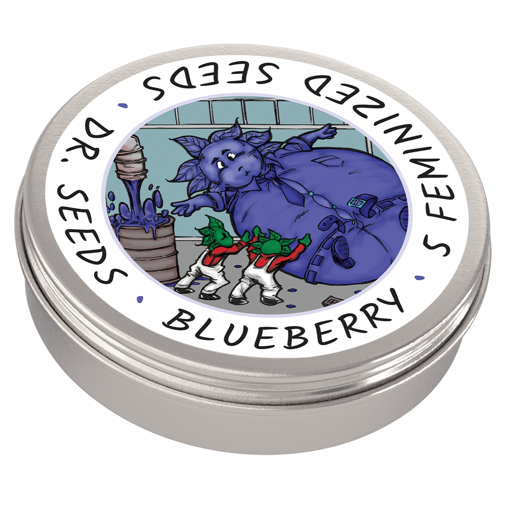 Dr Seeds Feminized Blueberry Tin