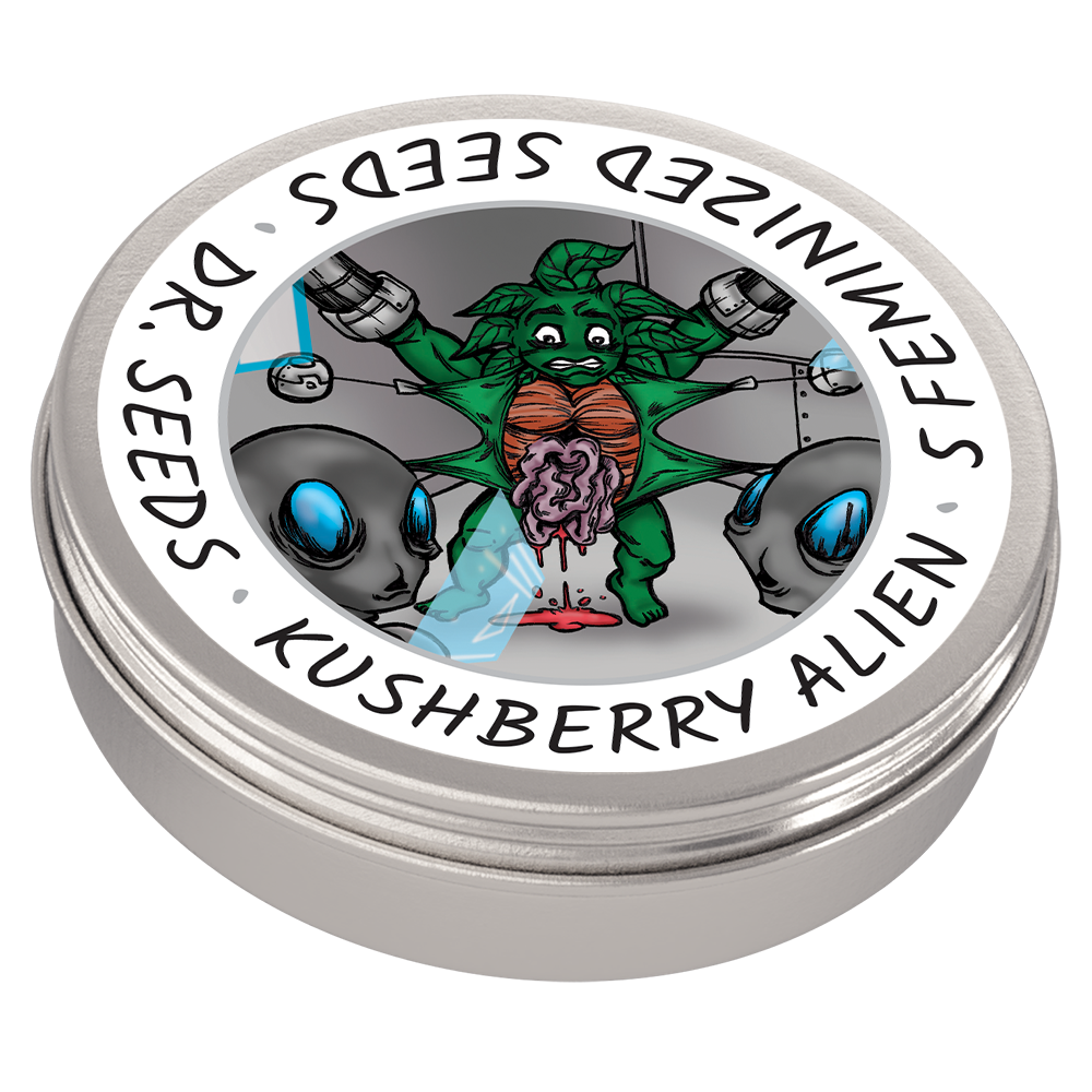 Dr Seeds Feminized Kushberry Alien Tin